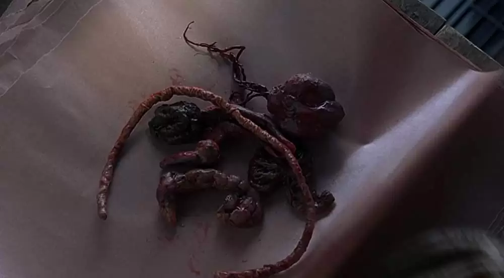 イグジステンズの画像