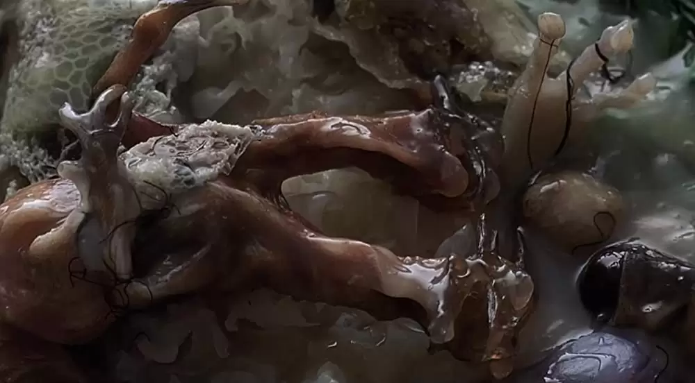 イグジステンズの画像