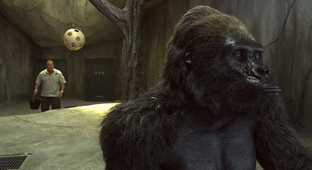 Mr.ズーキーパーの婚活動物園／ズーキーパーの画像