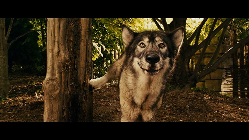 Mr.ズーキーパーの婚活動物園／ズーキーパーの画像