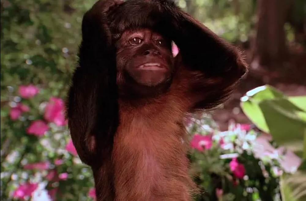 Mr.ズーキーパーの婚活動物園／ズーキーパーの画像