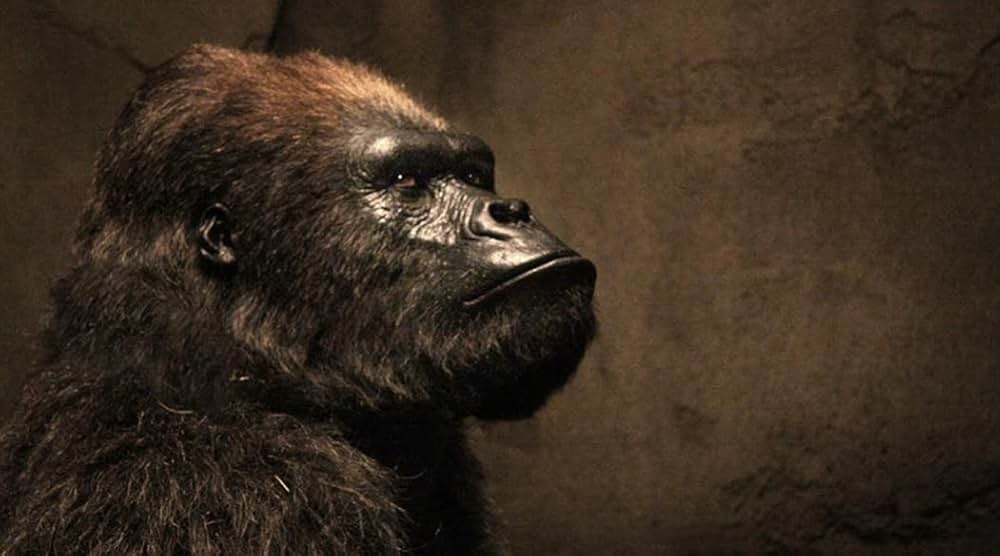 「Mr.ズーキーパーの婚活動物園／ズーキーパー」の画像