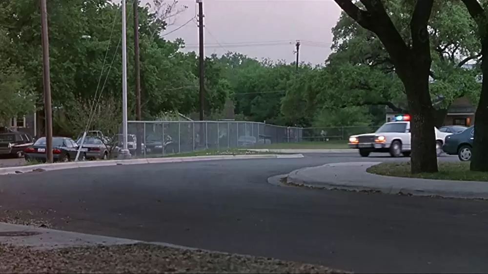 パラサイトの画像