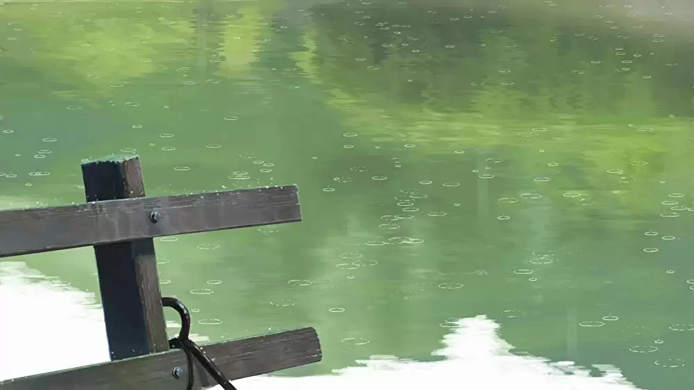 言の葉の庭の画像