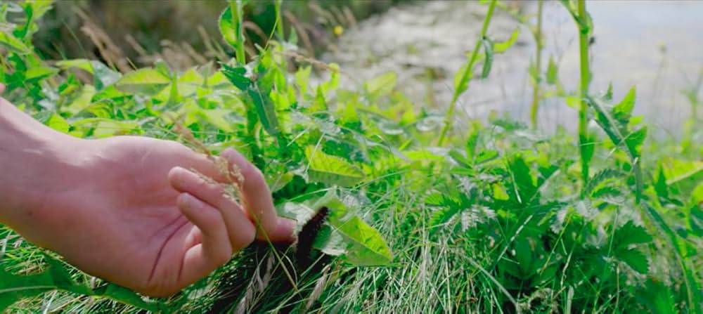 オフェンダー 〜コソ泥珍道中〜の画像