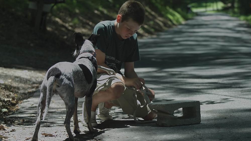 Hide Your Smiling Faces（原題）の画像