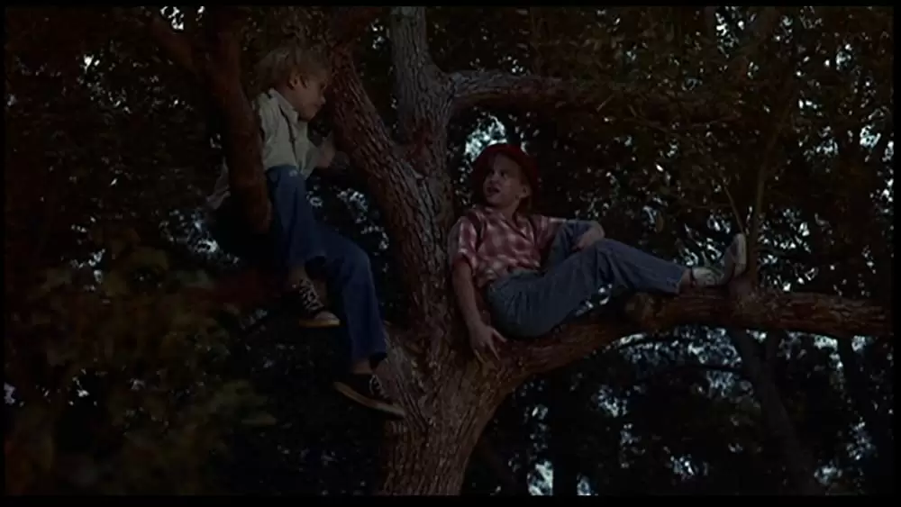 「マイ・ガール」マコーレー・カルキン & アンナ・クラムスキーの画像