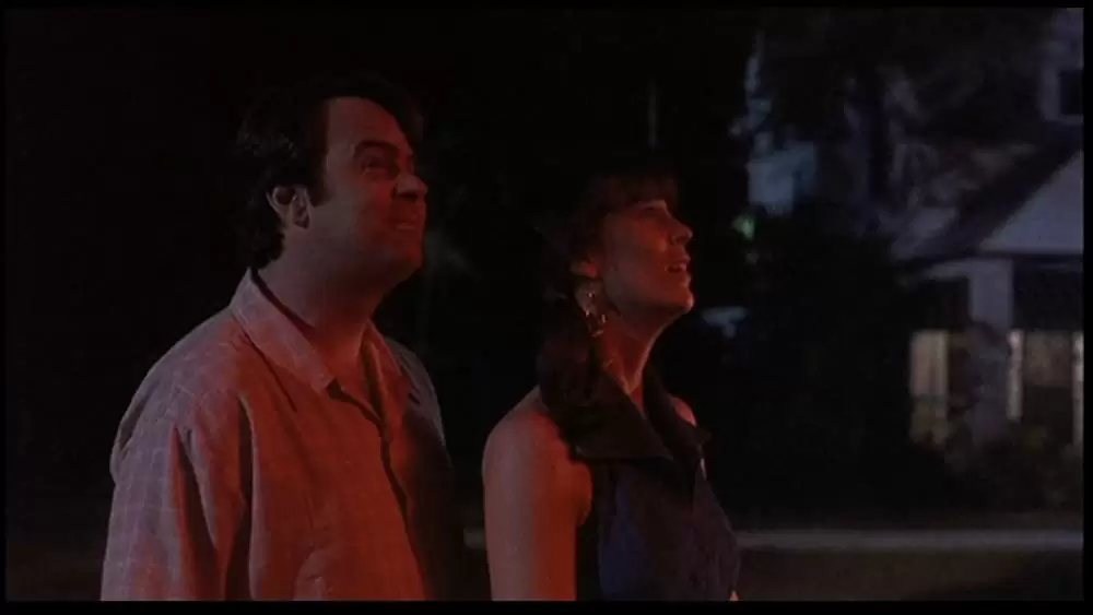 「マイ・ガール」ダン・エイクロイド & ジェイミー・リー・カーティスの画像