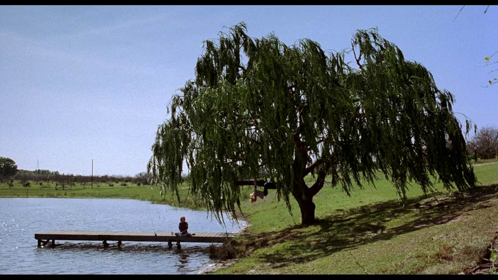 マイ・ガールの画像