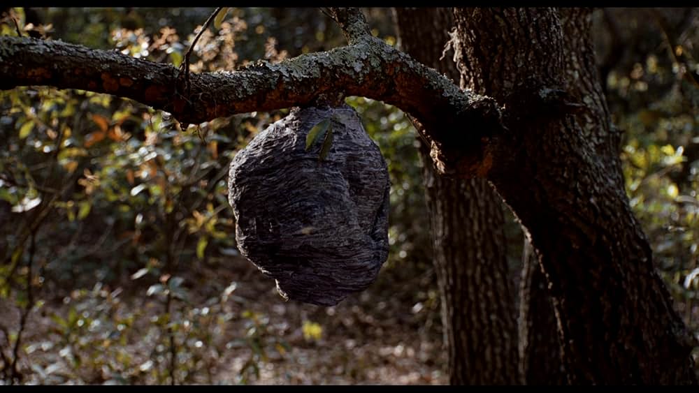 マイ・ガールの画像