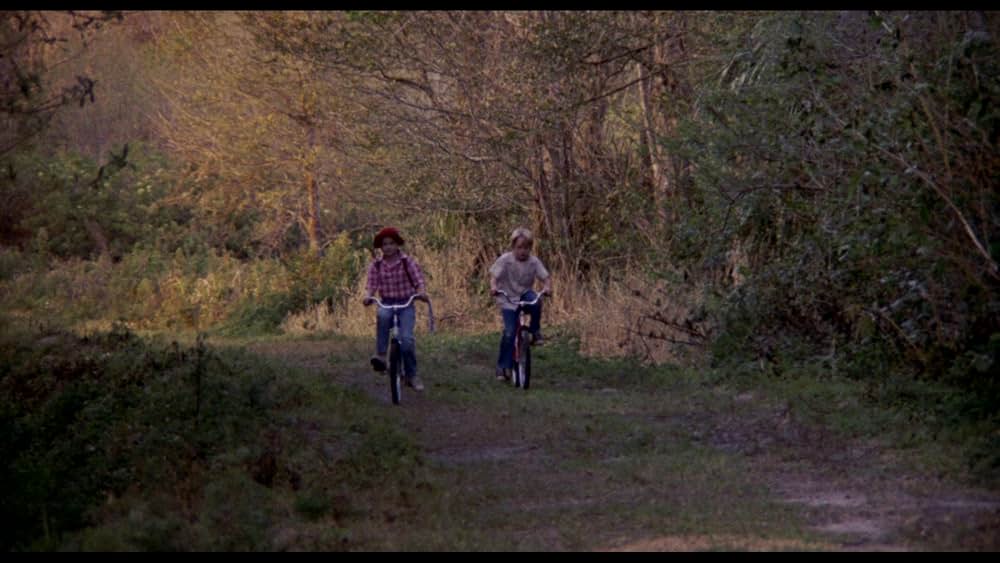 マイ・ガールの画像