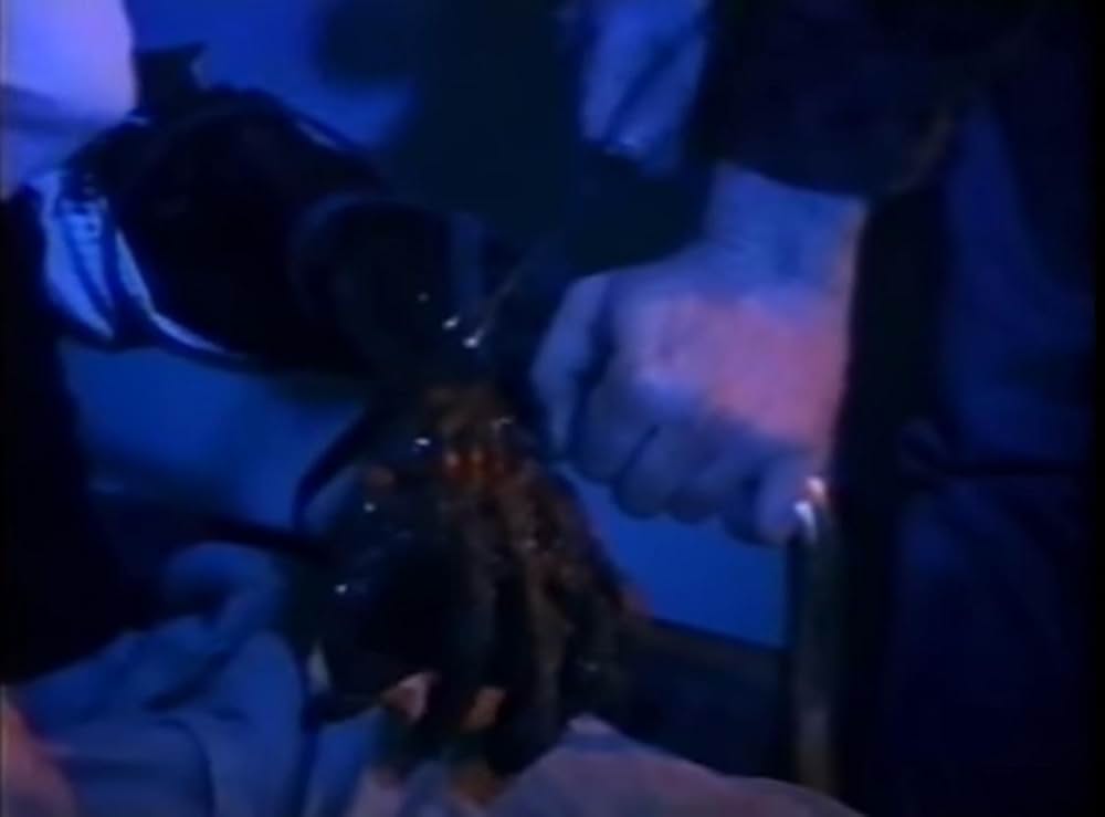 シングス THINGS 悪魔のバグズベイビーの画像