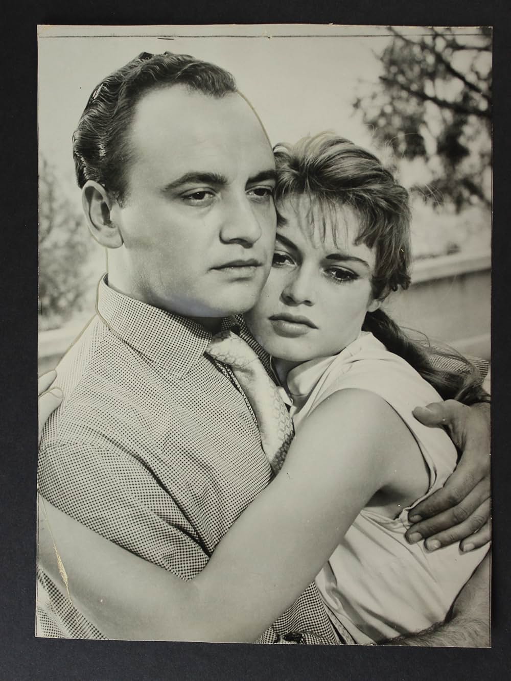 わたしは夜を憎むの画像