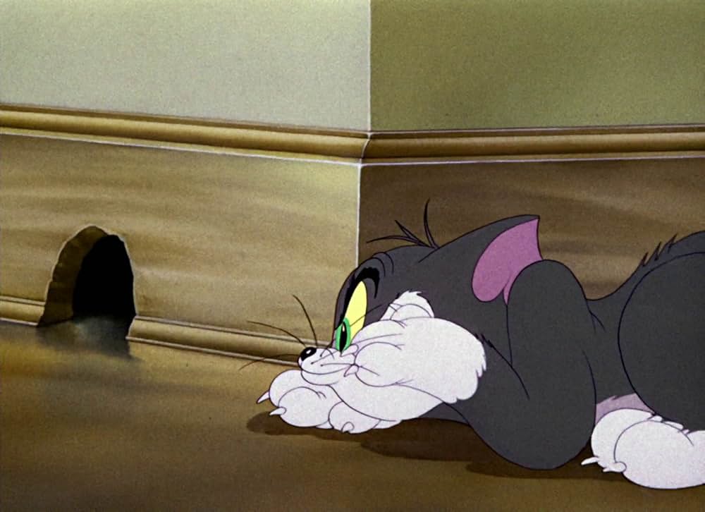 共同作戦の画像