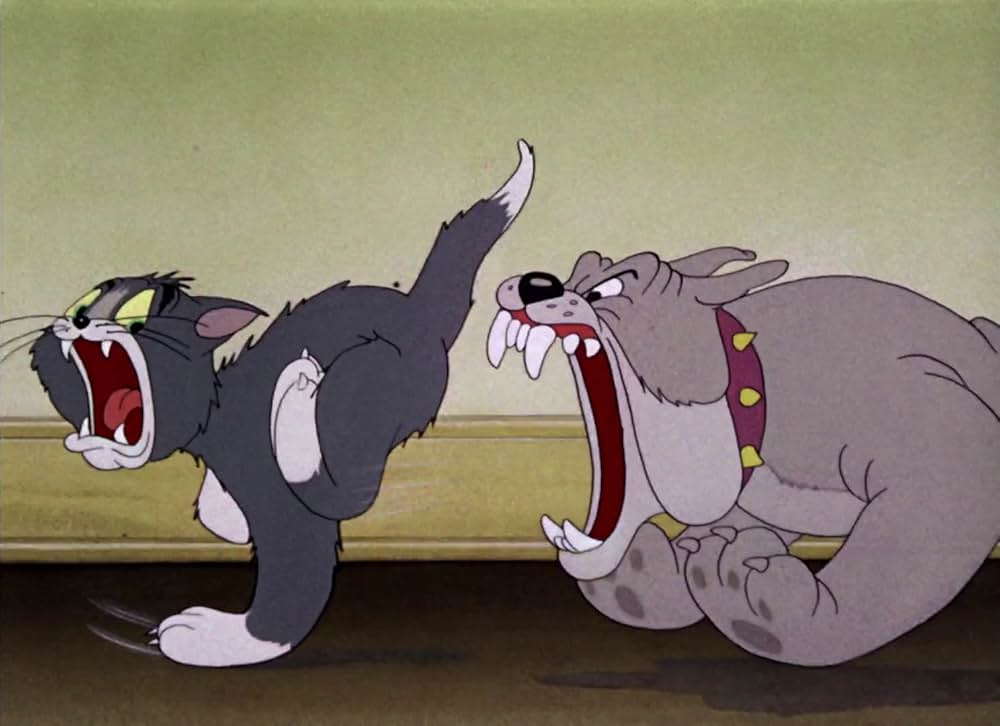 共同作戦の画像