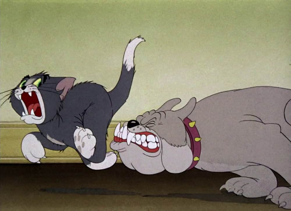 共同作戦の画像