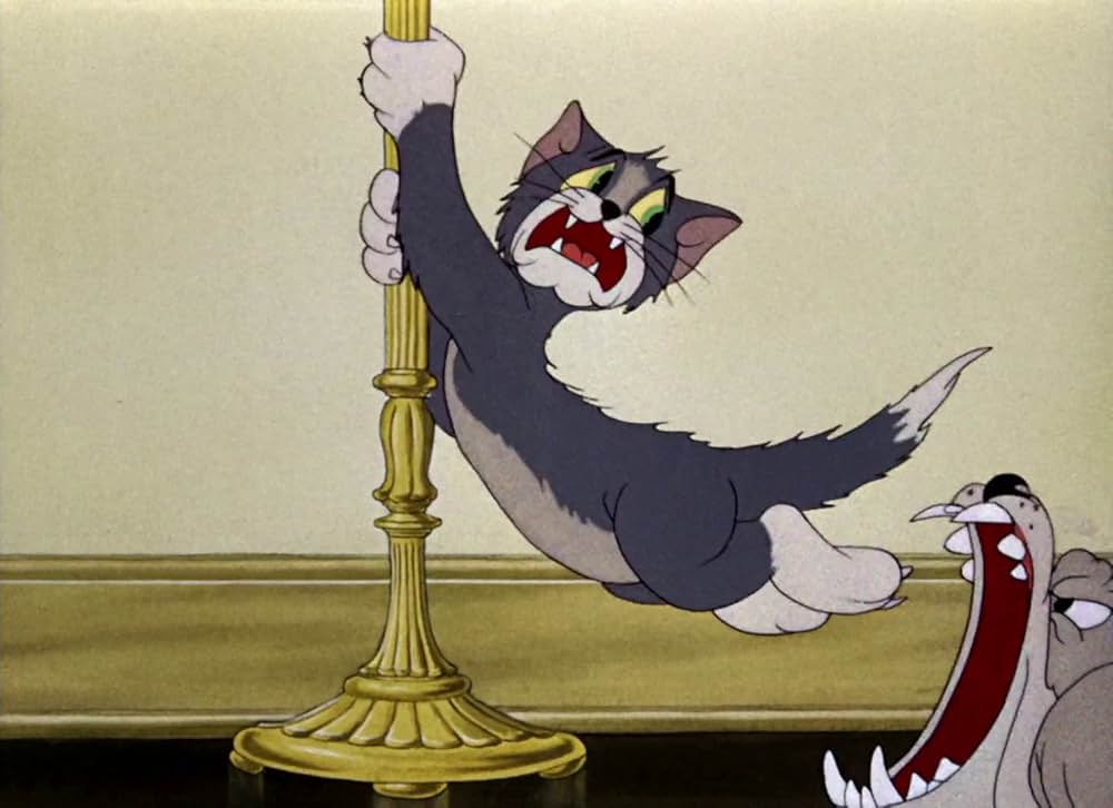 共同作戦の画像