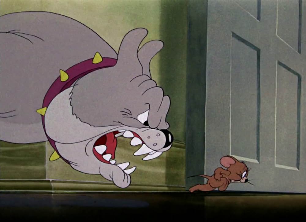 共同作戦の画像