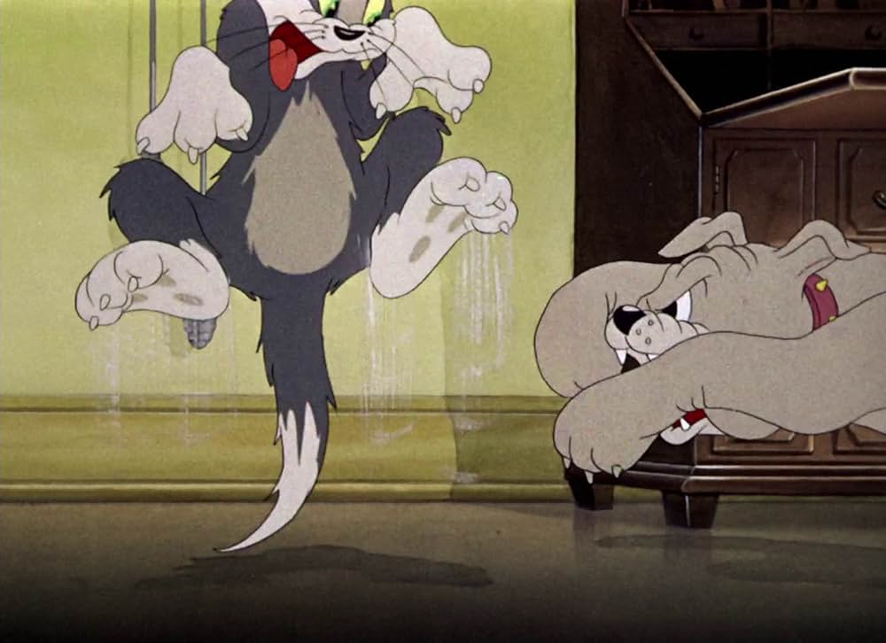 共同作戦の画像