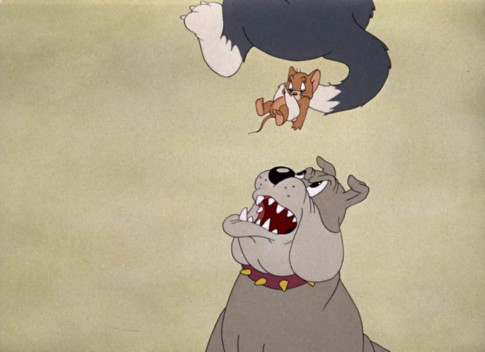 共同作戦の画像