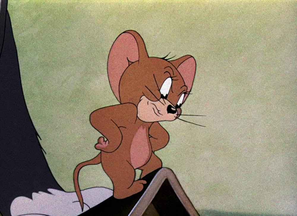 共同作戦の写真