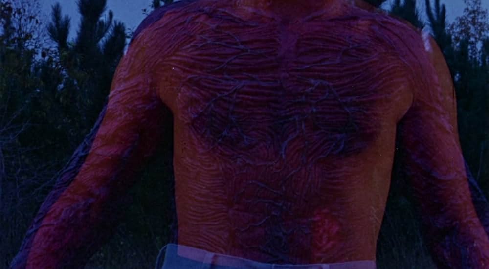 The Alien Factor（原題）の画像