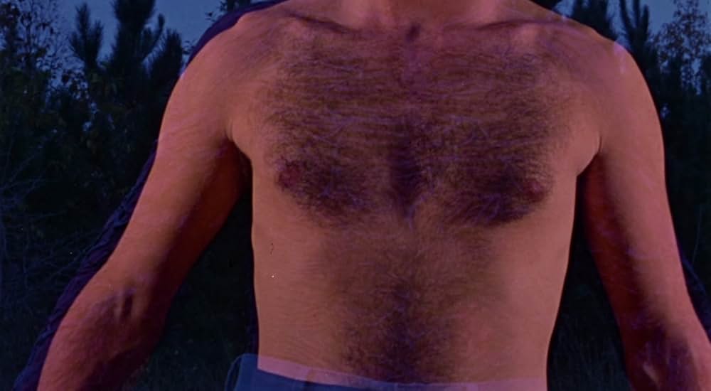 The Alien Factor（原題）の画像