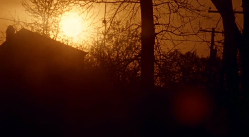 The Alien Factor（原題）の画像