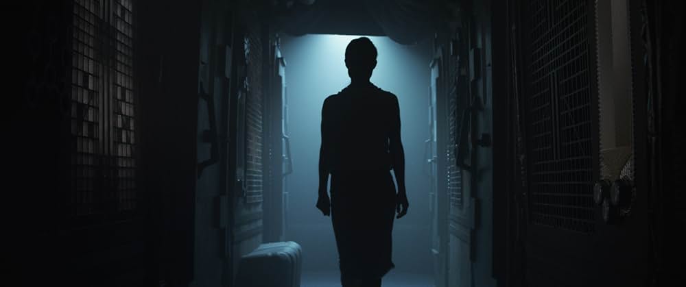 ザ・ファブリックの画像