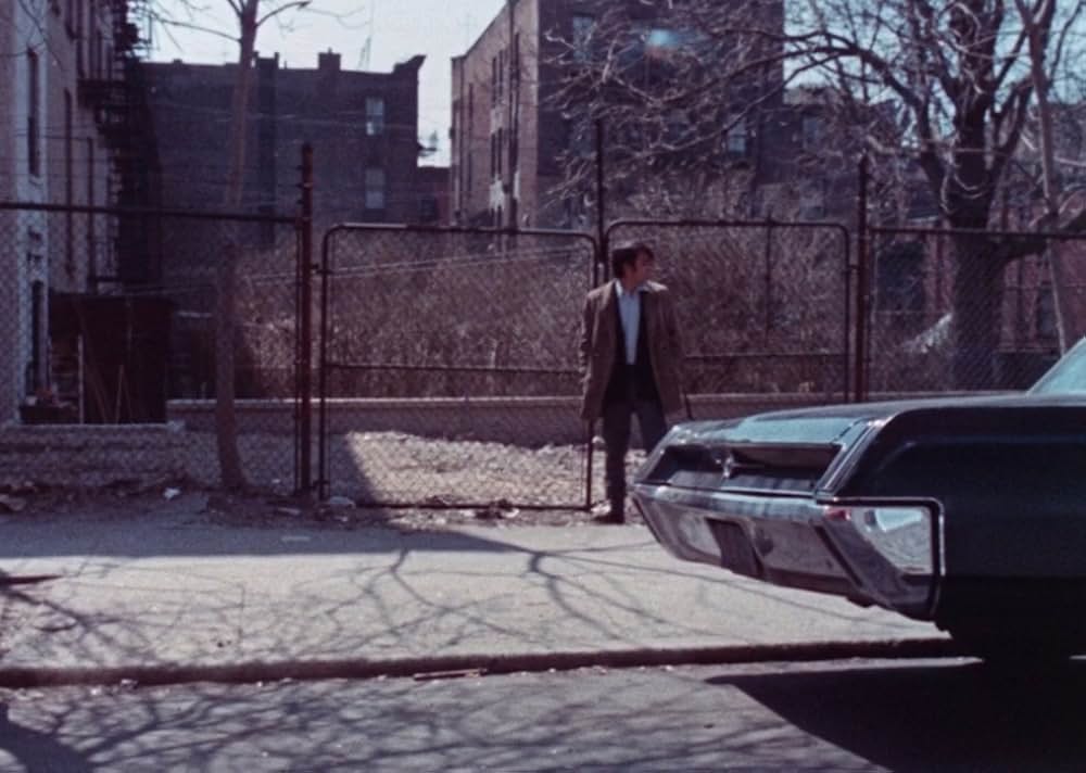 The Amazing Transplant（原題）の画像