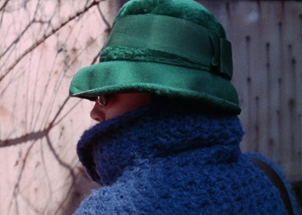 The Amazing Transplant（原題）の画像