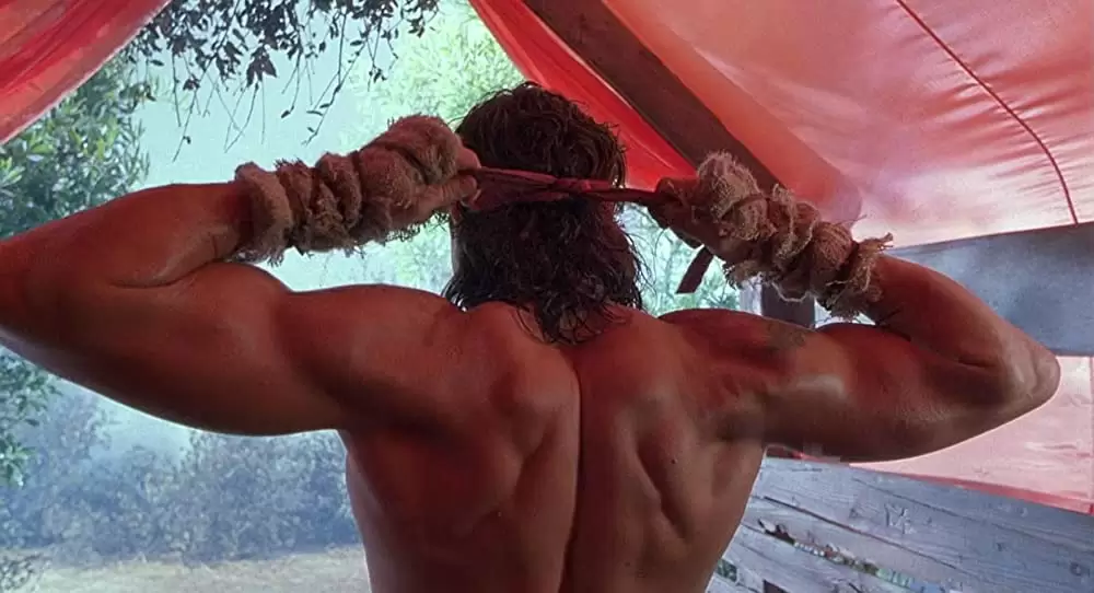 ホット・ショット2の画像