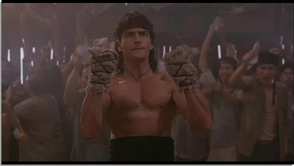 ホット・ショット2の画像