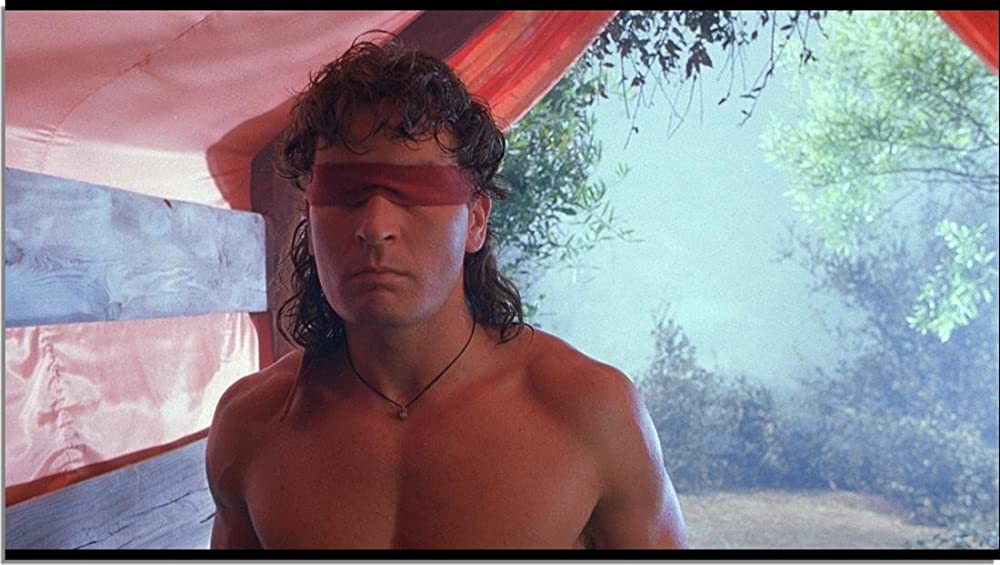 ホット・ショット2の画像