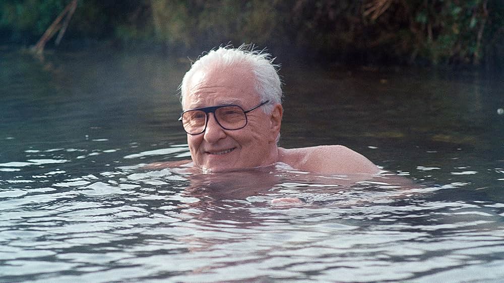 ミッチとコリン 友情のランド・ホー！の画像