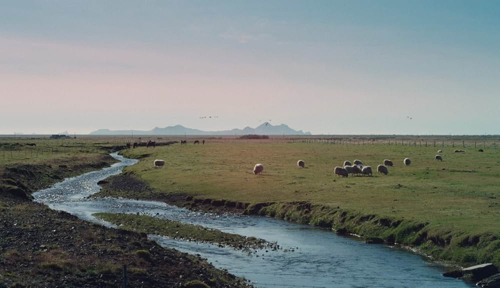 ミッチとコリン 友情のランド・ホー！の画像