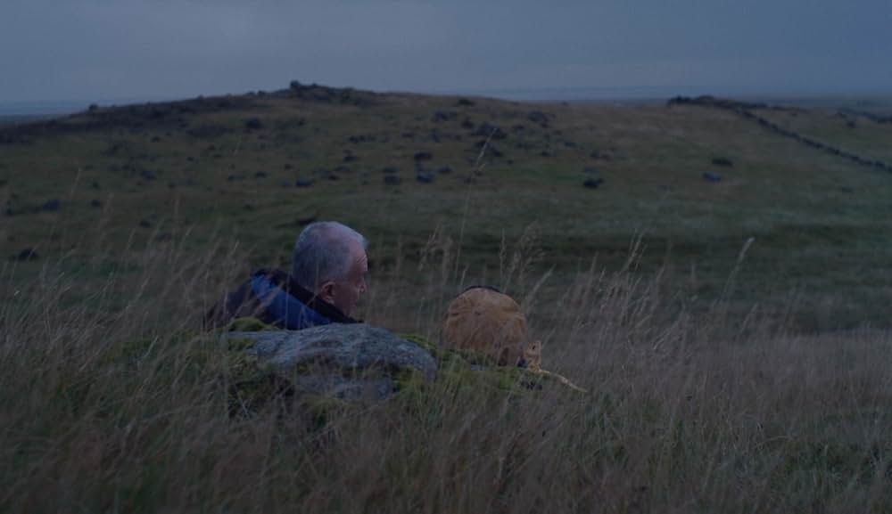 ミッチとコリン 友情のランド・ホー！の画像