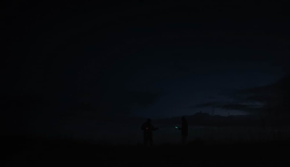 ミッチとコリン 友情のランド・ホー！の画像