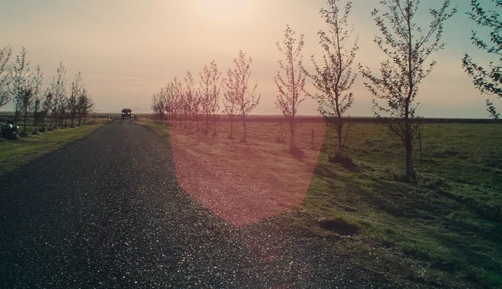 ミッチとコリン 友情のランド・ホー！の画像