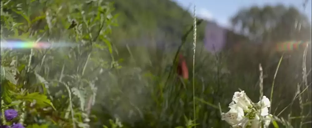 オフィーリア 奪われた王国の画像