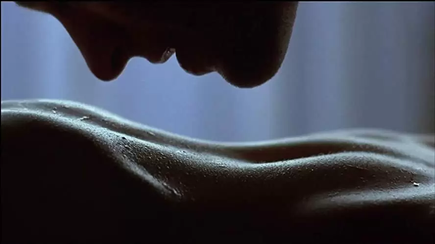 ブルースチールの画像