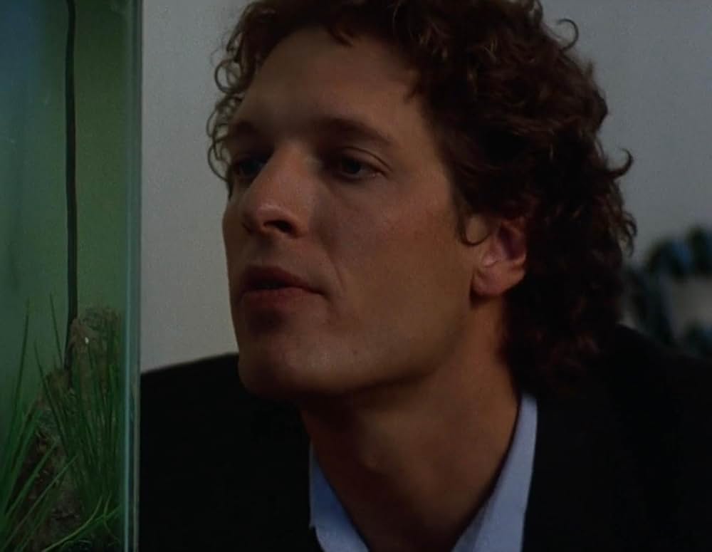 ブルースチールの画像