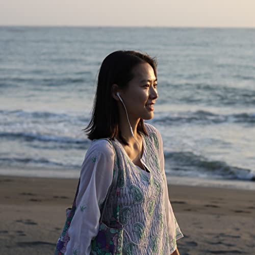 はちどりの画像