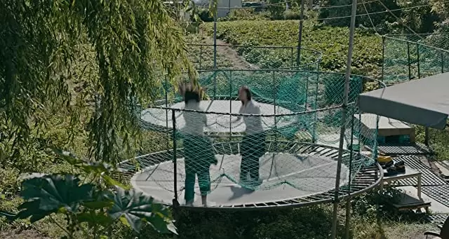 はちどりの画像