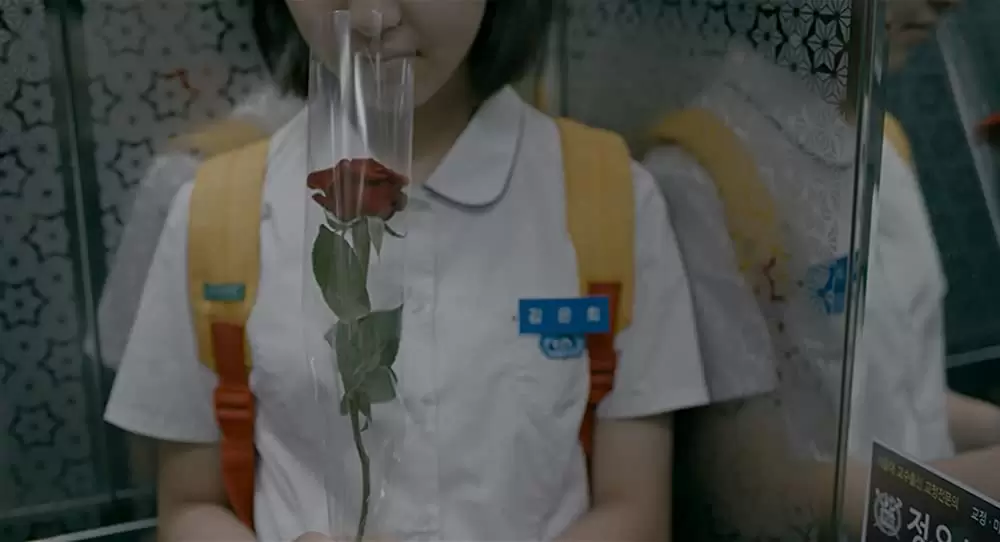 はちどりの画像