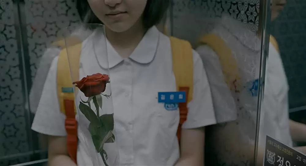 はちどりの画像