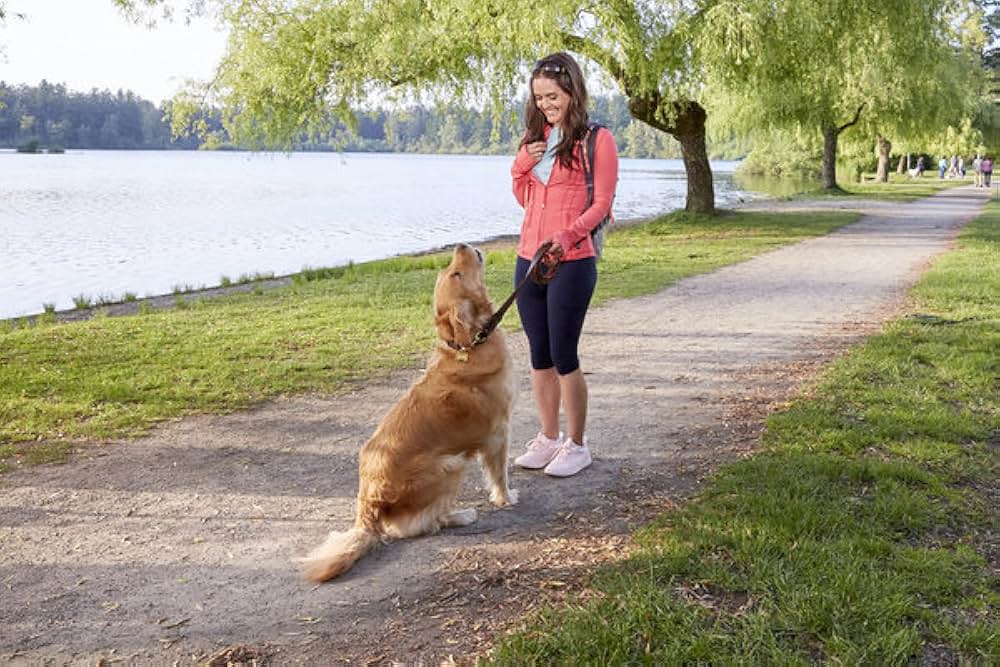 Love And Sunshine（原題）の写真