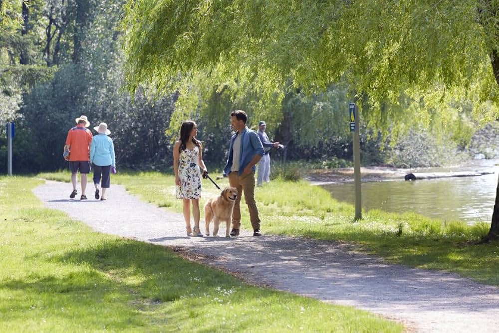 Love And Sunshine（原題）の画像