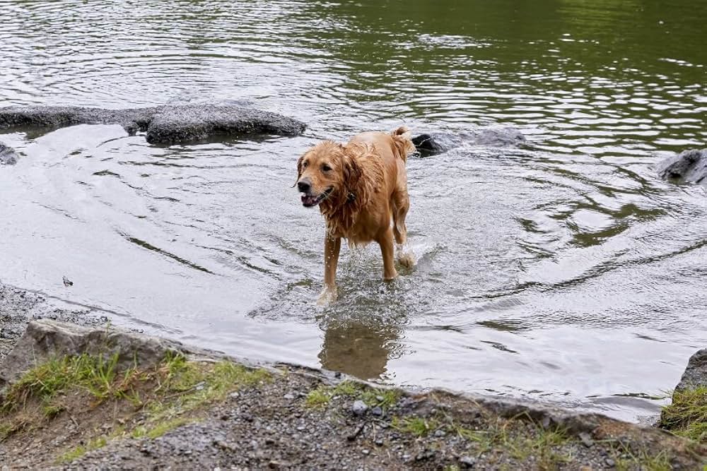 Love And Sunshine（原題）の画像