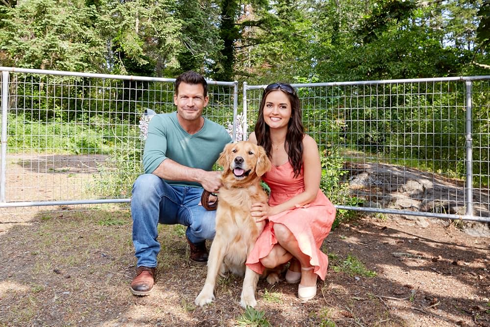 Love And Sunshine（原題）の画像